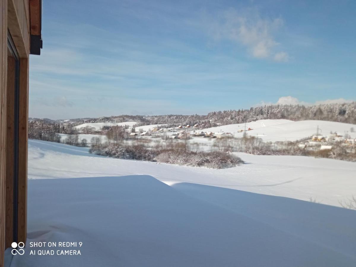 Domek Na Wzgorzu Villa Orelec Bagian luar foto